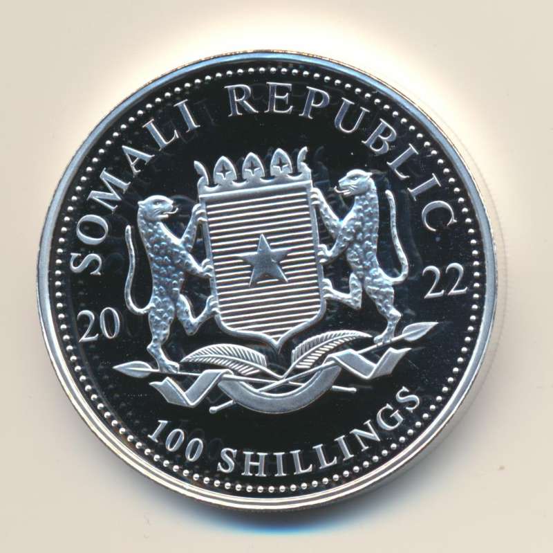 Somalië 1 Ounce 2022 African Wildlife Olifant - Image 2