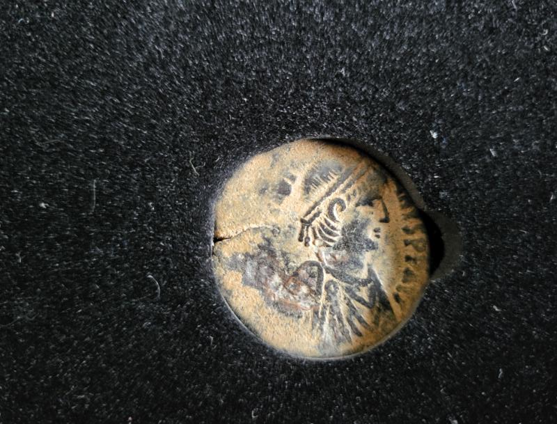 Imperium World Coins Collection 12 stuks muntenset in houten schatkist - 图片 5