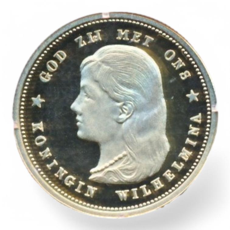 Nederland Naslag 10 Gulden 1895 Wilhelmina (loshangend haar)